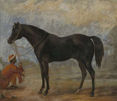 Image of Lord Canning’s Hunter (Held by Native Groom)