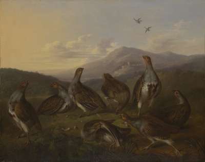 Image of Partridges in a Moorland Landscape