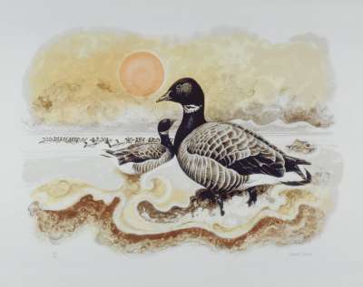 Image of Brent Geese, Blakeney Point