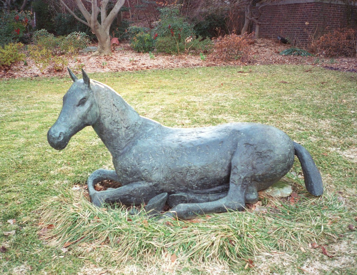 Image of Lying Down Horse