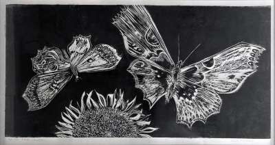 Image of Butterflies and Sunflower