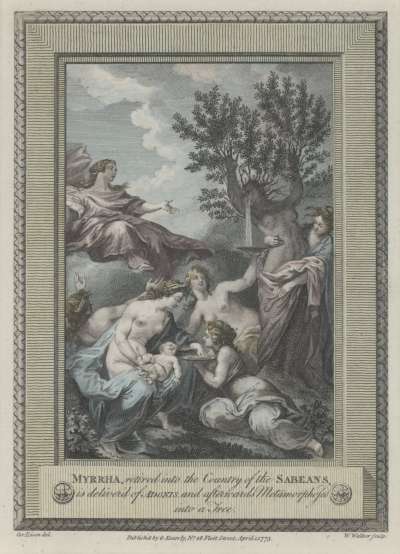 Image of Myrrha, retired into the Country of the Sabeans, is deliver’d of Adonis, and afterwards Metamorphosed into a Tree