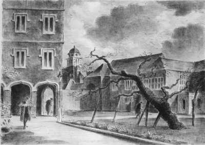 Image of Charterhouse: The Mulberry Tree