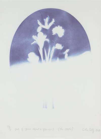 Image of Out of Focus Object & Flowers 2 (The 1940s)