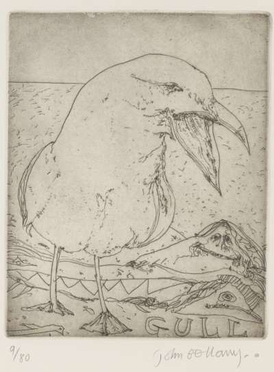 Image of Gull [Larus Argentatus]