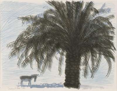 Image of Donkey and Palm Tree
