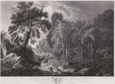 Image of A View in the Island of Jamaica, of the Spring-Head of Roaring River on the Estate of William Beckford Esq.[5]