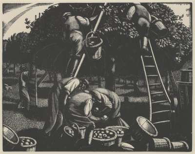 Image of The Farmer’s Year. September: Apple-Picking