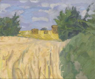Image of Harvest Cornfield