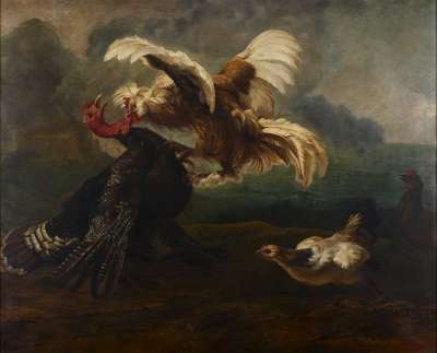 Image of Cock Attacking a Turkey