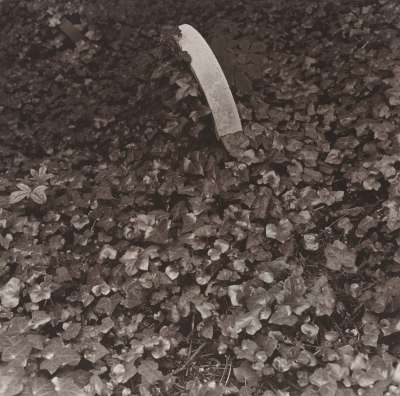 Image of Headstone Covered in Ivy, London