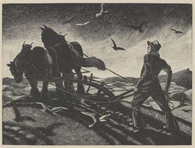 Image of The Farmer’s Year. November: Ploughing