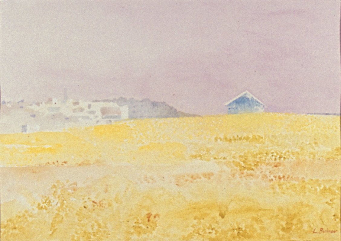 Image of Southwold Dunes