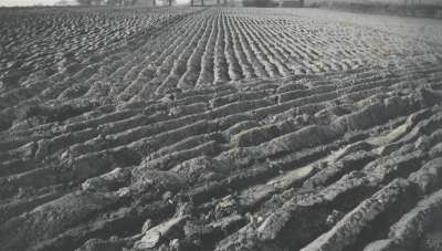 Image of Ploughed Field & Haystacks