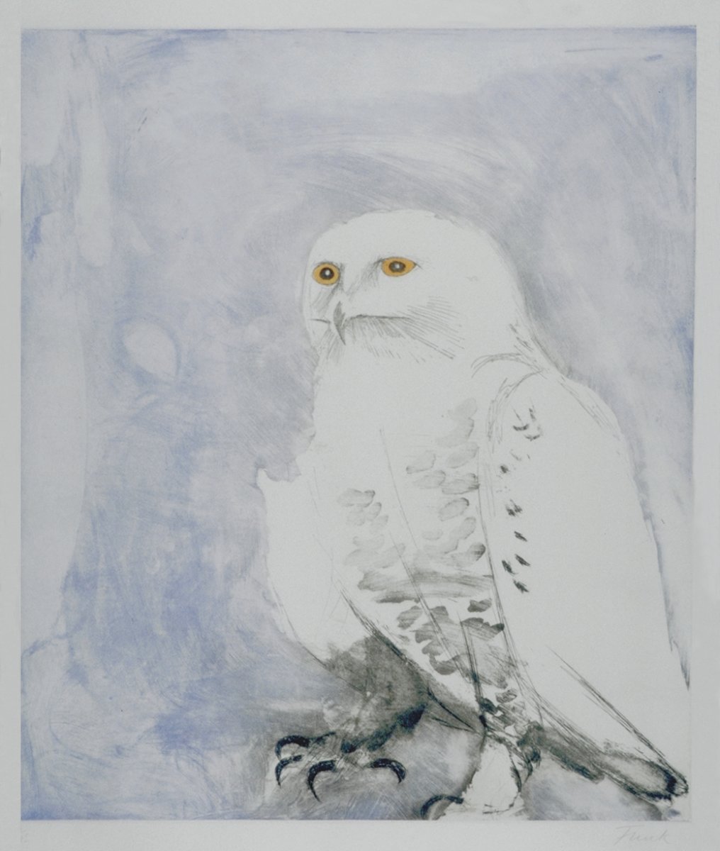 Image of Snowy Owl