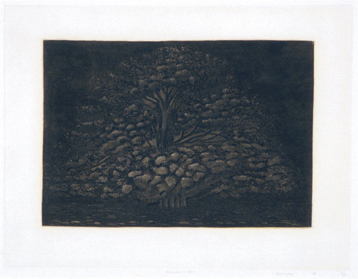 Image of Rousseau’s Tree