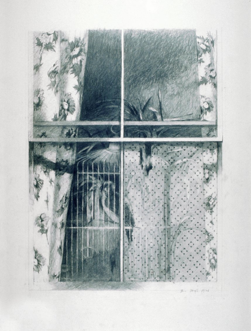 Image of Window (with Birdcage)