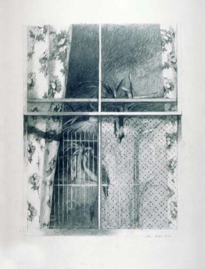 Image of Window (with Birdcage)