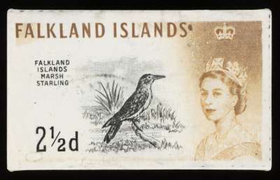 Image of Falkland Islands