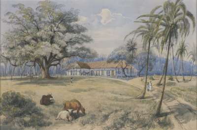 Image of The Governor’s House, Colombo, Ceylon (Sri Lanka)