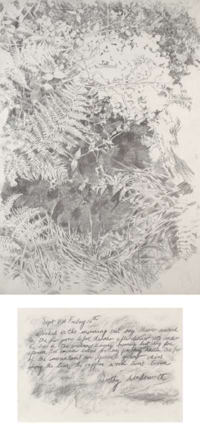 Image of Charcoal Drawing from Series “Dorothy Wordsworth”