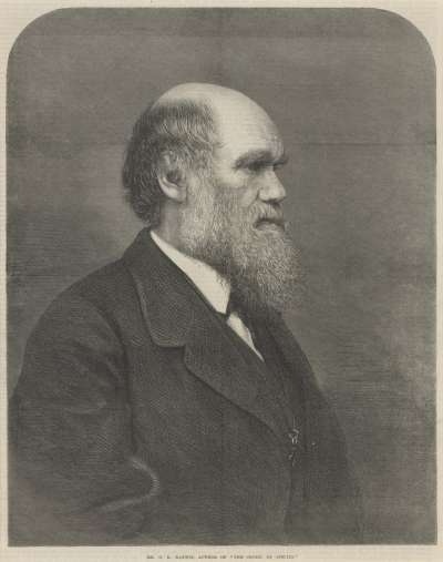 Image of Charles Darwin (1809-1882), naturalist, geologist and originator of the theory of evolution