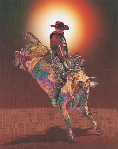 Image of The Rider